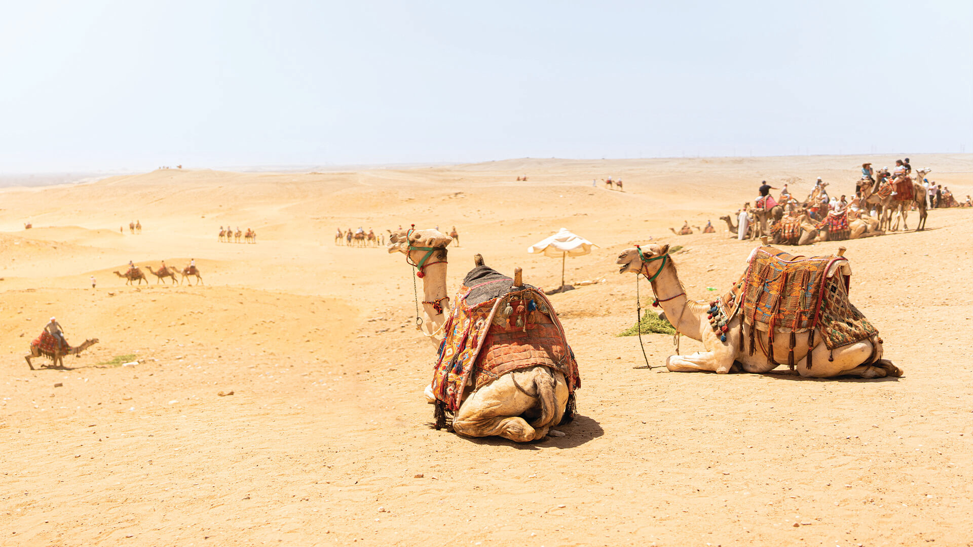 Le Sahara Mystérieux : Safari dans le Désert Tunisien avec Elina Travel Booking